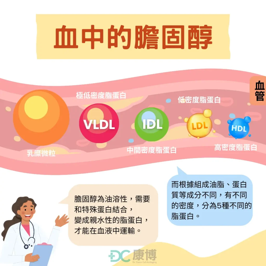 油脂和膽固醇由脂蛋白攜帶在血液中循環，其中有：乳糜微粒、極低密度脂蛋白、低密度脂蛋白、高密度脂蛋白，我們在健檢報告當中常看見的是這兩個，俗稱好的膽固醇：高密度脂蛋白膽固醇（HDL）、和壞的膽固醇：低密度脂蛋白膽固醇（LDL）。
