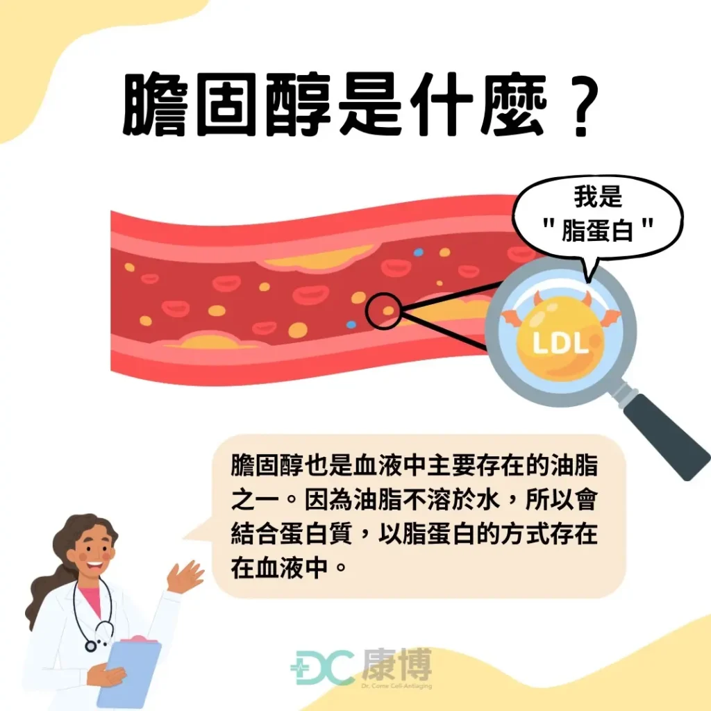 膽固醇是什麼？