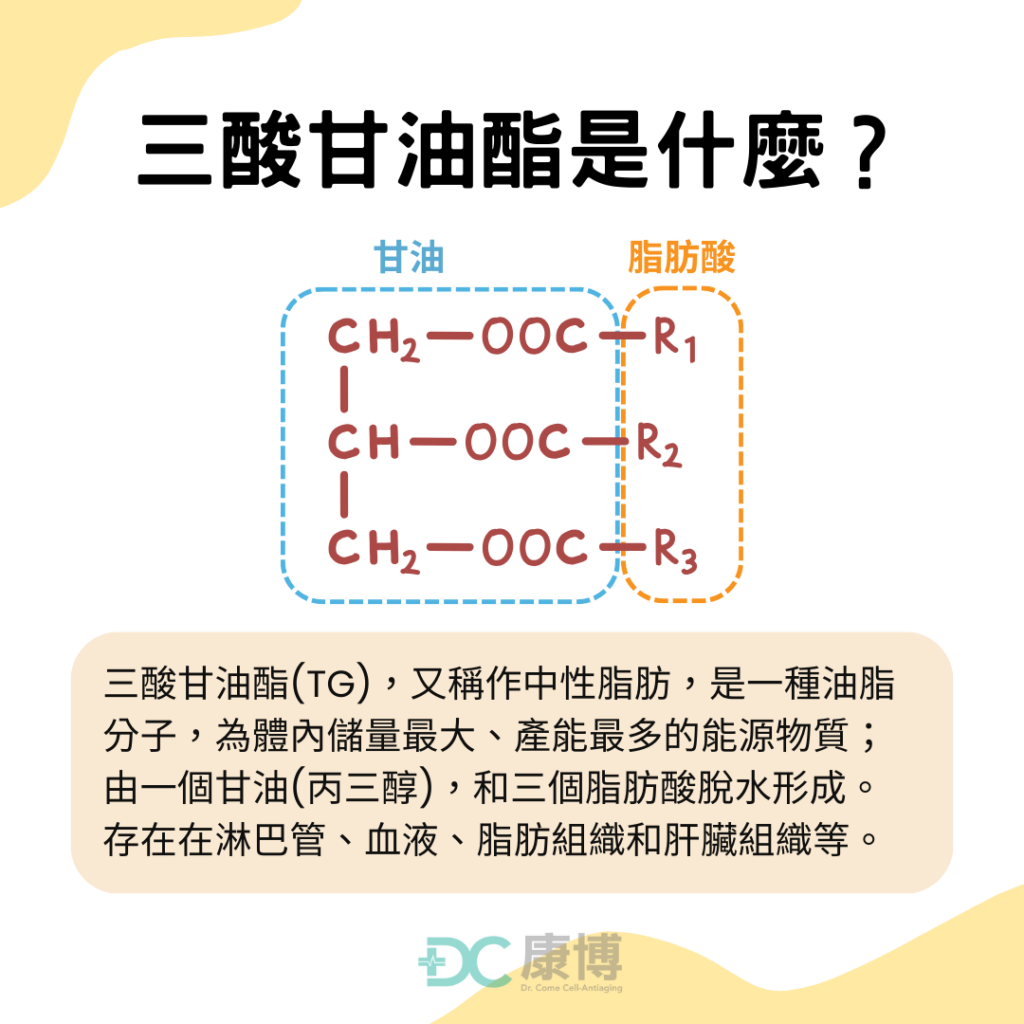 三酸甘油酯是什麼？